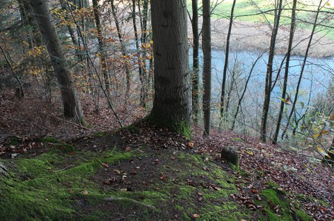 Verbreiterung Uferweg Dählhölzli