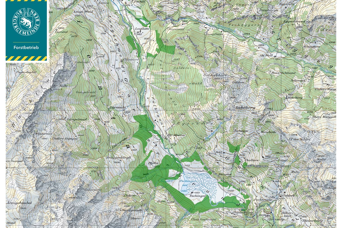 Waldgebiet der Burgergemeinde im Kiental (Datenquelle Swisstopo). Vergrösserte Ansicht