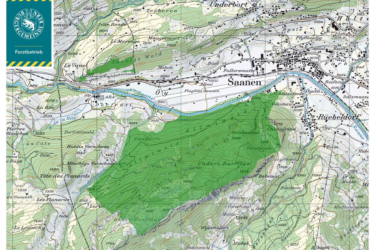 Waldgebiet der Burgergemeinde in Saanen (Datenquelle Swisstopo). Vergrösserte Ansicht