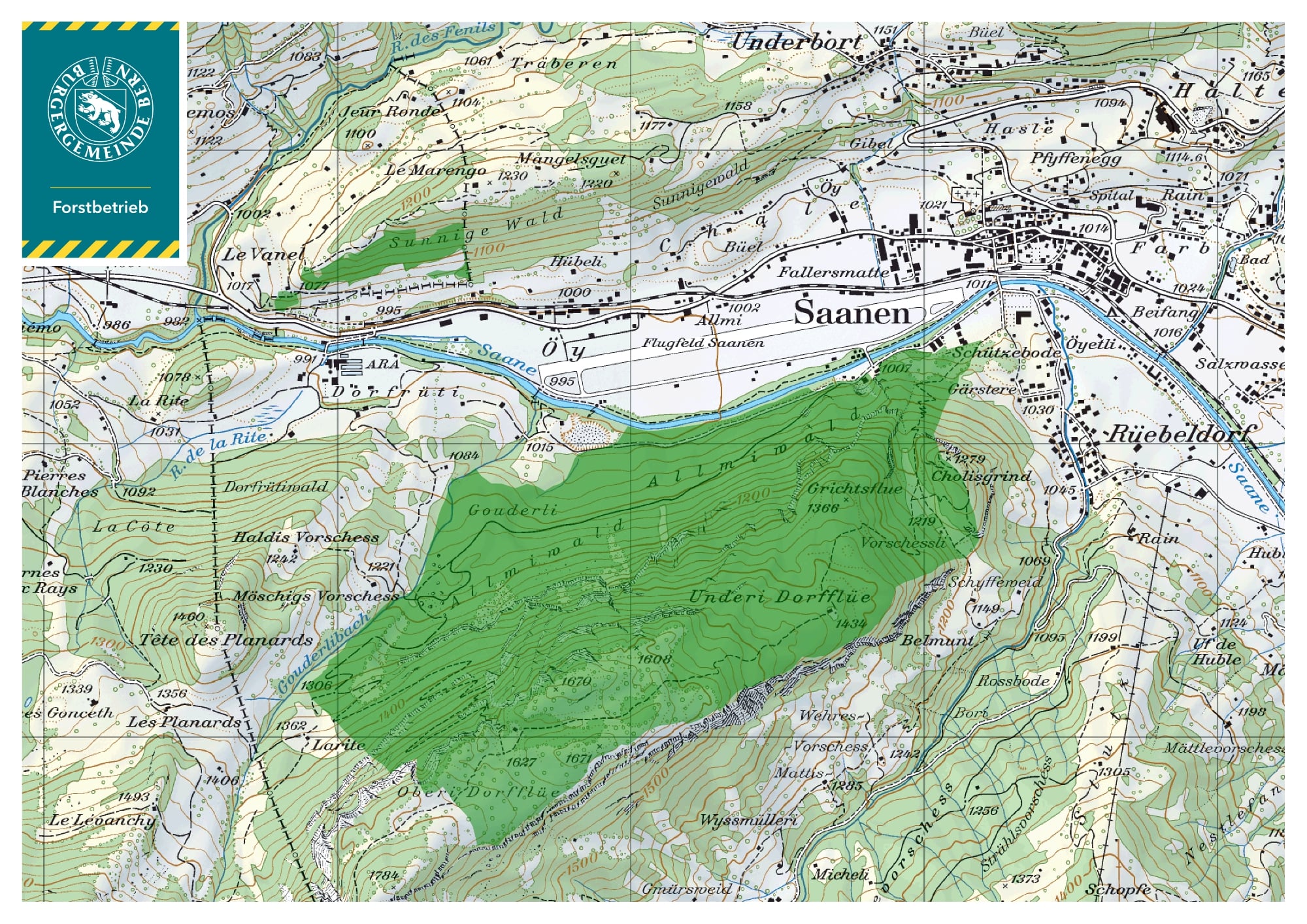 Waldgebiet der Burgergemeinde in Saanen (Datenquelle Swisstopo)