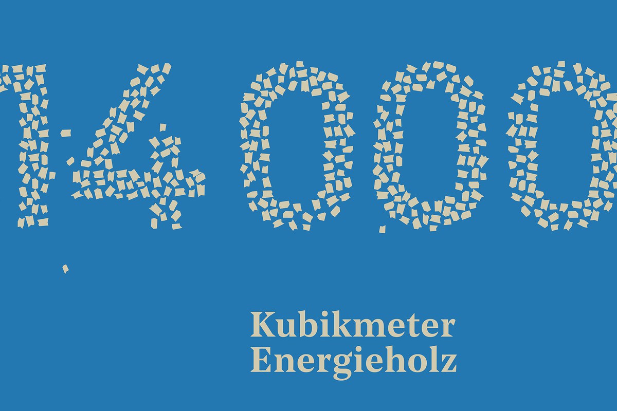 bgb-burgerjahr-2022-some-energieholz-fb.jpg. Vergrösserte Ansicht