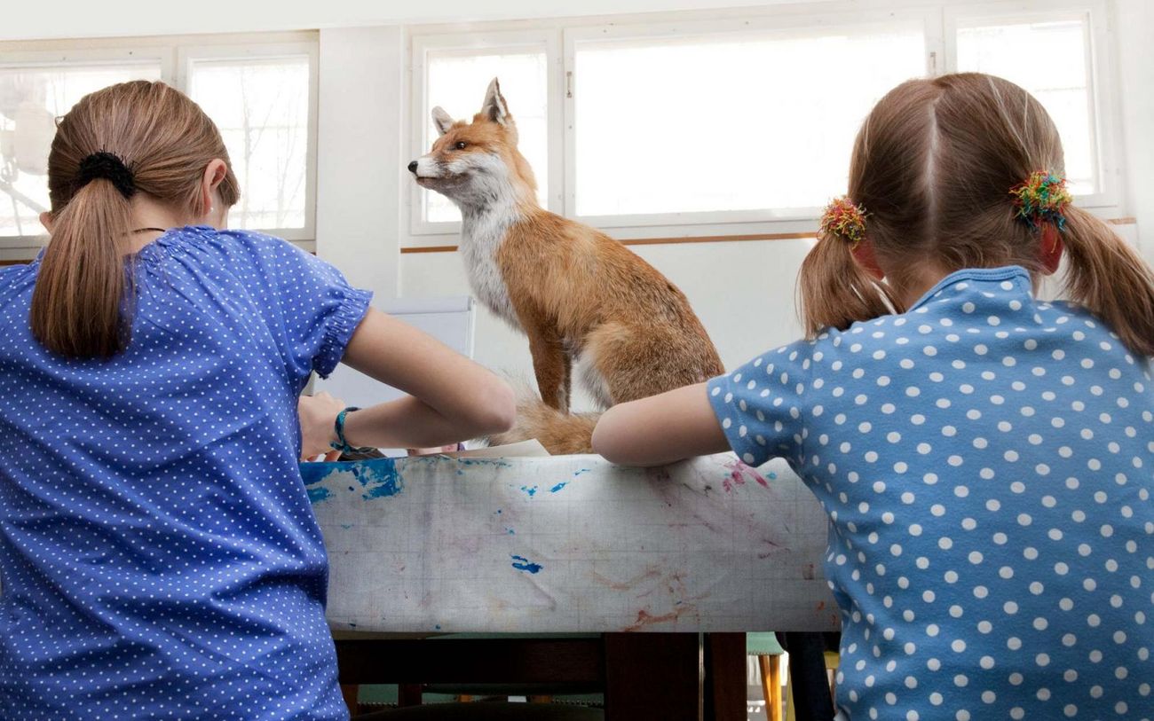 Zwei Kinder sitzen an einem Tisch und malen, während ein präparierter Fuchs auf dem Tisch vor ihnen steht. Die Szene spielt in einem hellen Raum mit grossen Fenstern.