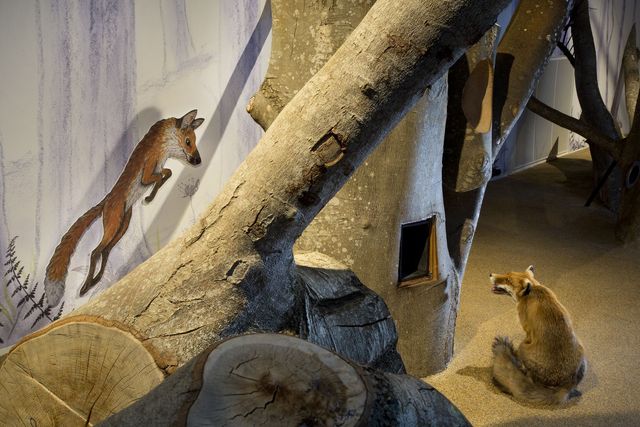 Ausstellungsteil des NMBE