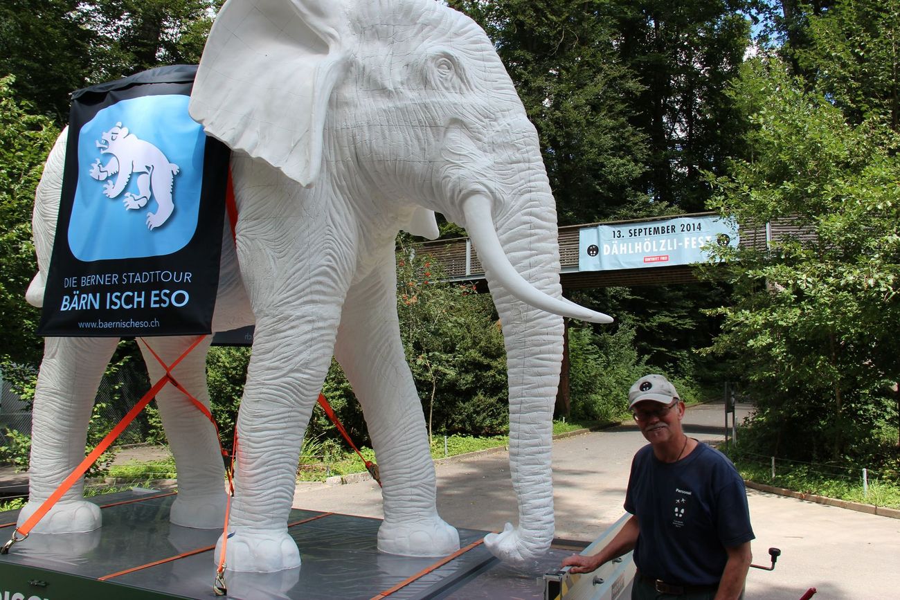 Weisse Elefantenstatue steht auf einem Anhänger, daneben eine Person; im Hintergrund ein Banner zum Dählhölzli-Fest.