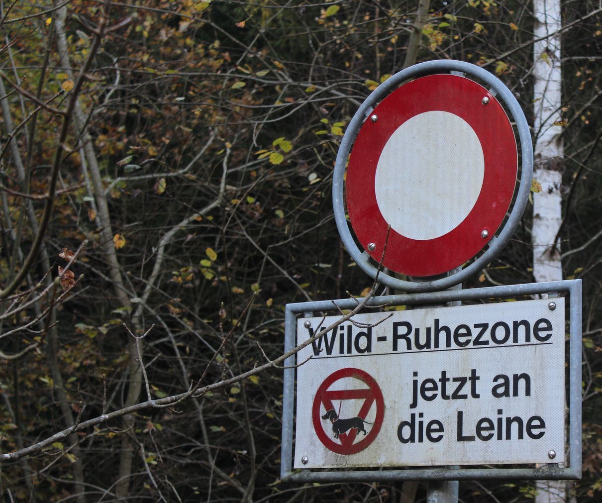 Schild Wild-Ruhezone