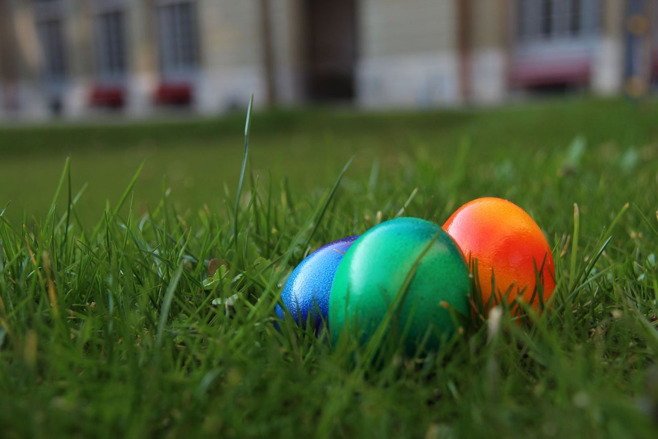 Drei bunt gefärbte Eier liegen im Gras des Innenhofs von Burgerspital.