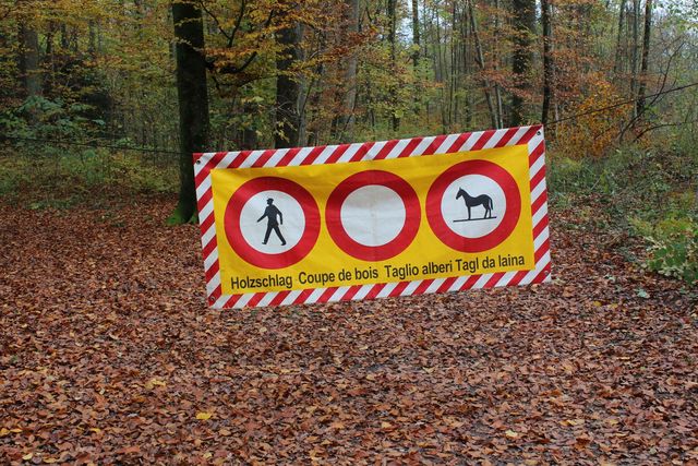 Hängendes Warnbanner im Wald