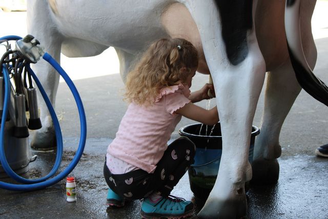 Emma auf Hoftour – Kinder auf Bauernhöfen