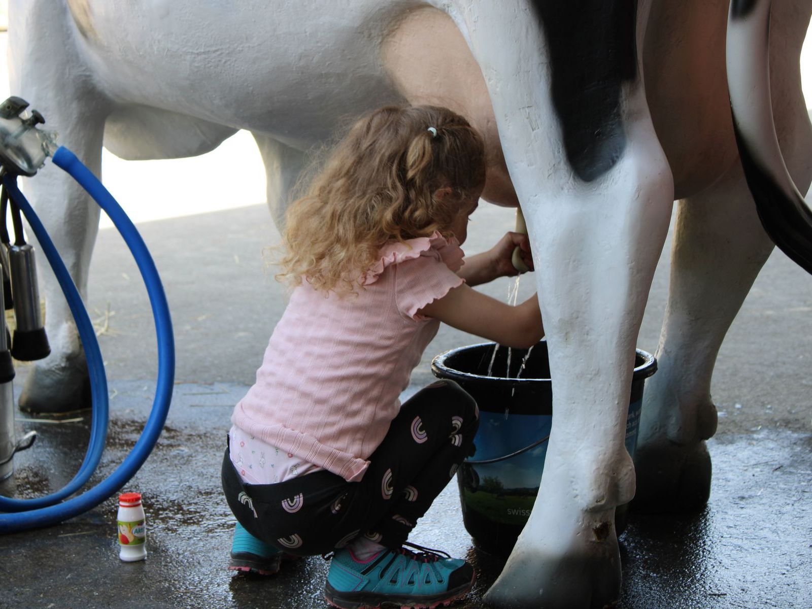 Emma auf Hoftour – Kinder auf Bauernhöfen