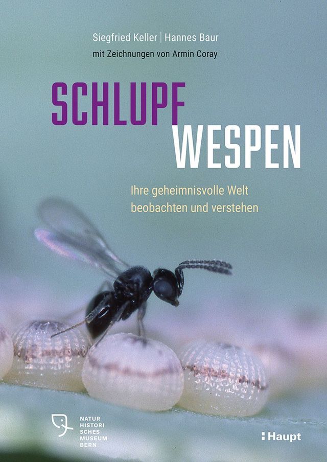 Buchcover Schlupfwespen