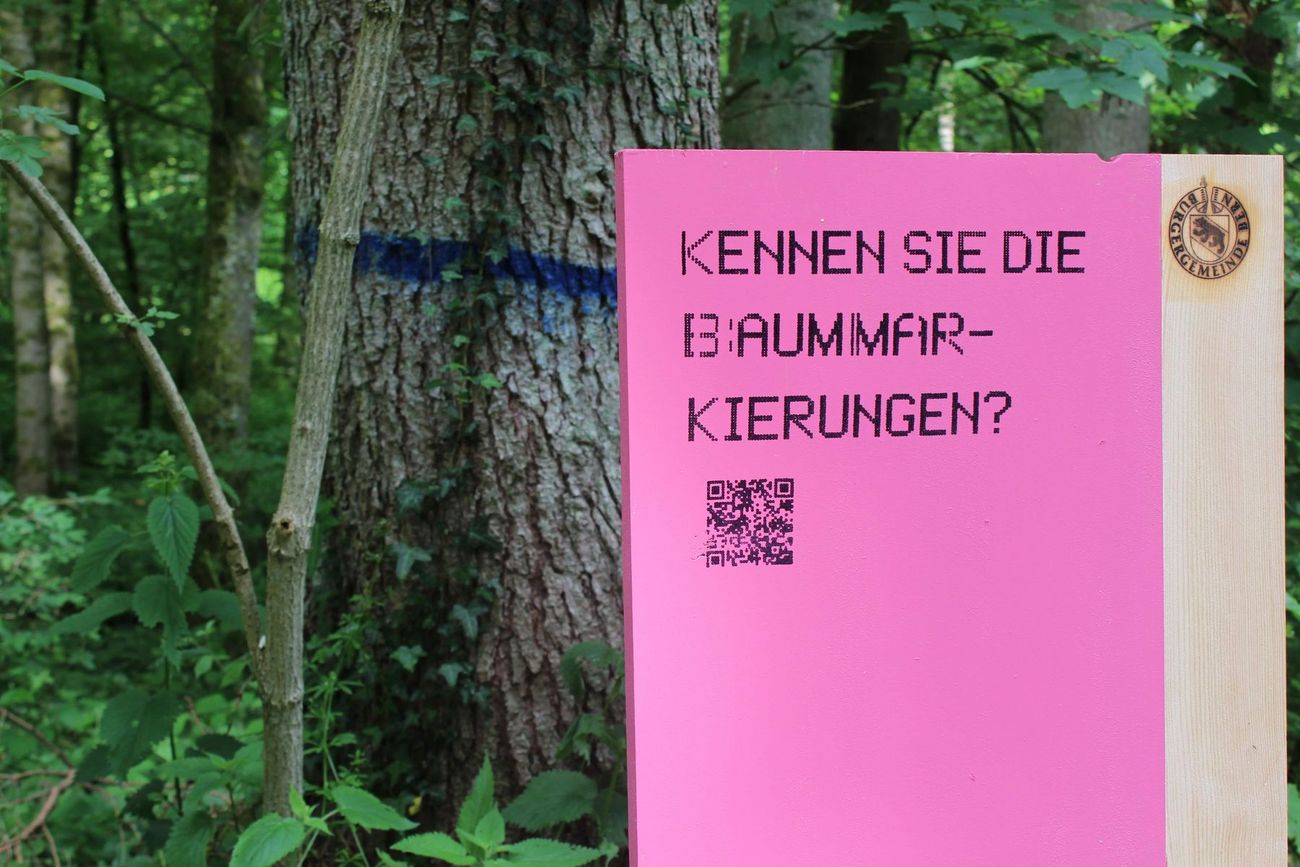 Infoschild im Wald