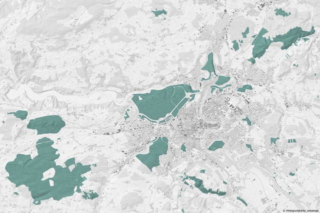 Ausschnitt aus topografischer Landeskarte mit Waldgebieten Forst und Stadt Bern