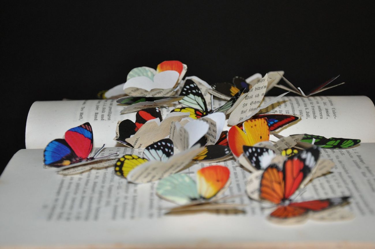 Aufgeschlagenes Buch mit Papierschmetterlingen
