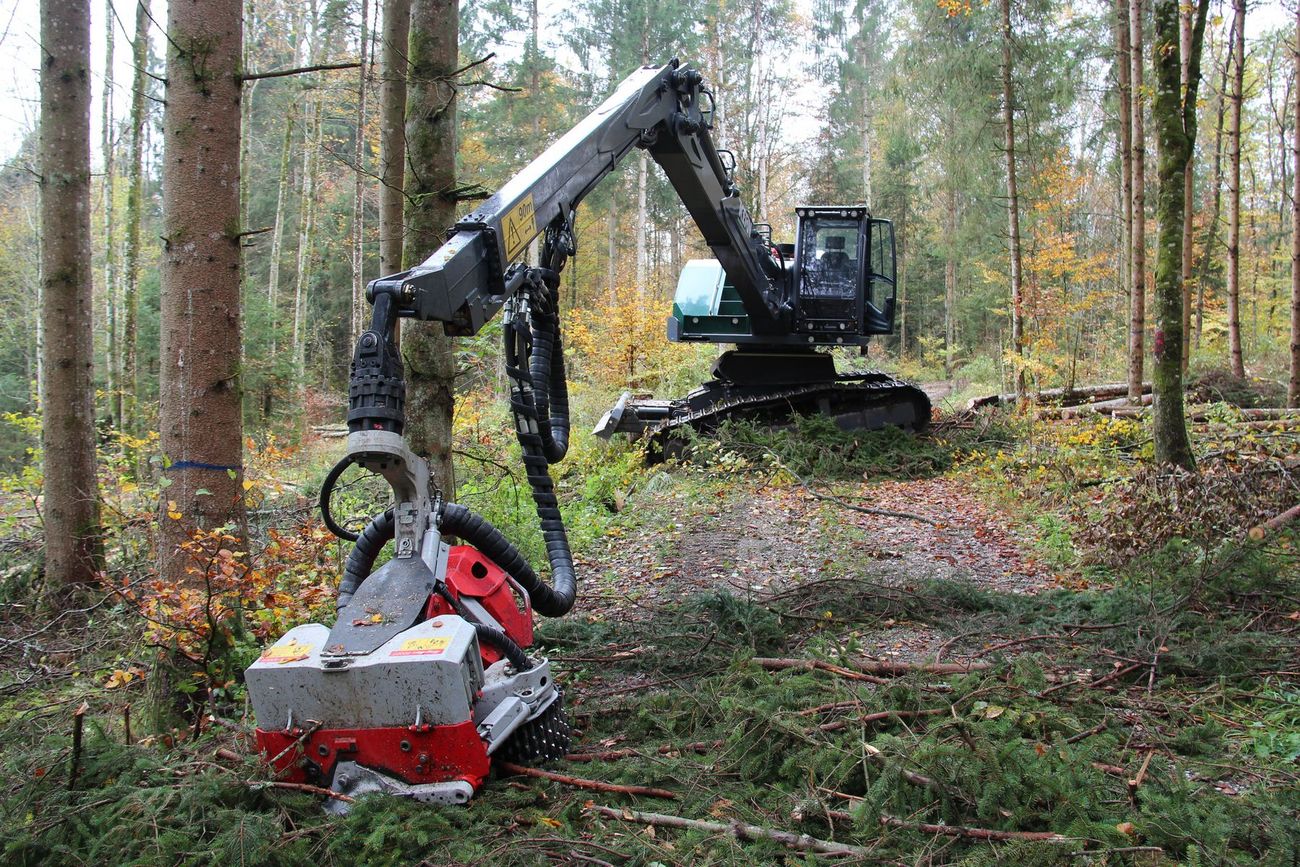 Elenor bei der Arbeit im Wald
