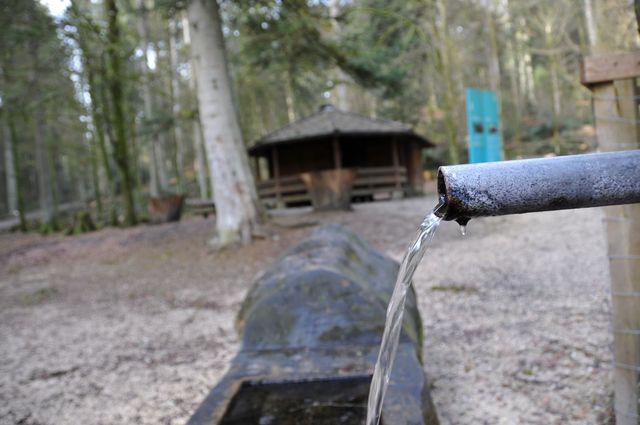Aussenansicht der Waldhütte Sädelbach mit Brunnen