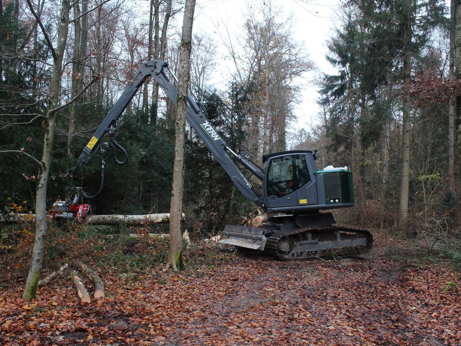 Forstmaschine Elenor in Aktion