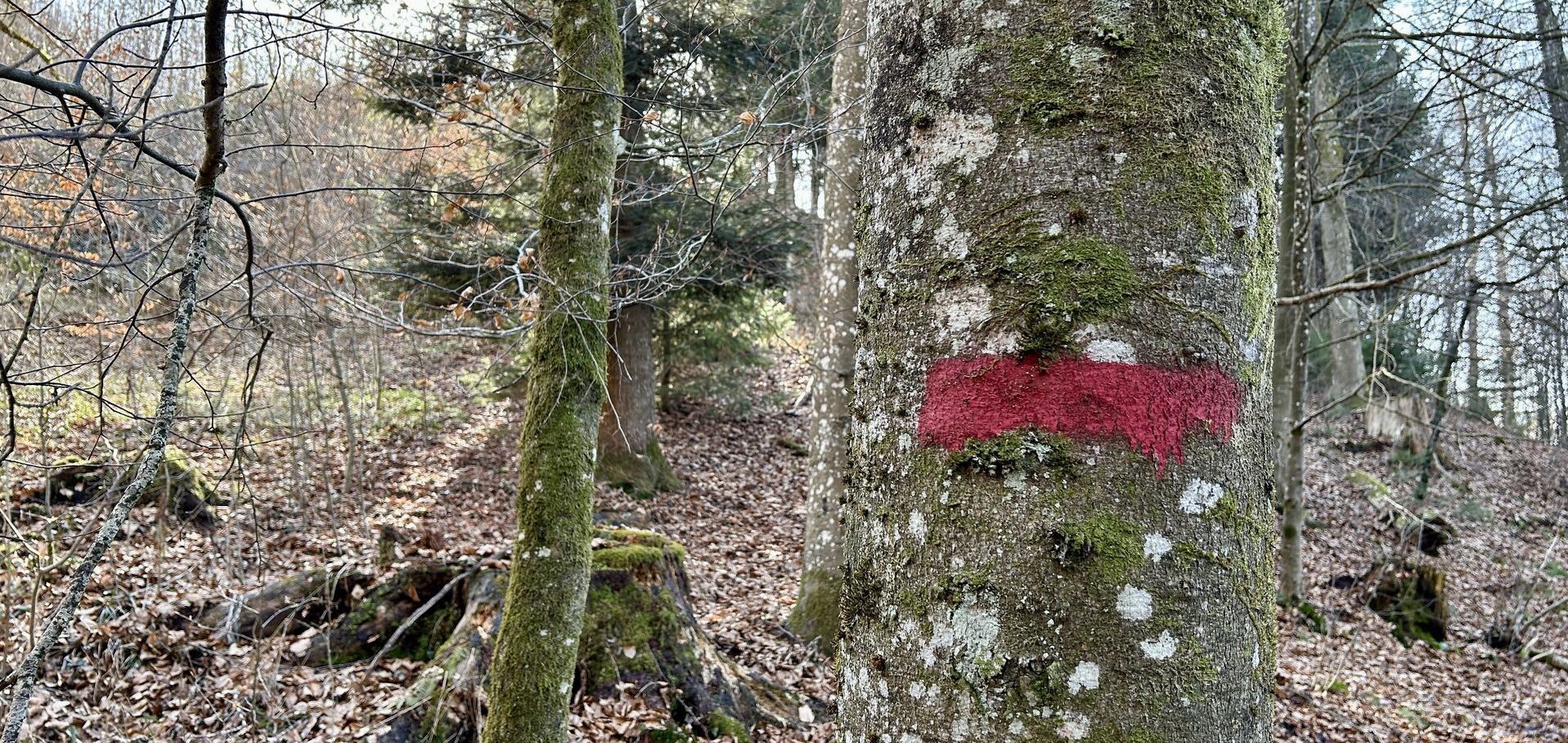 Baummarkierung FBB oder T