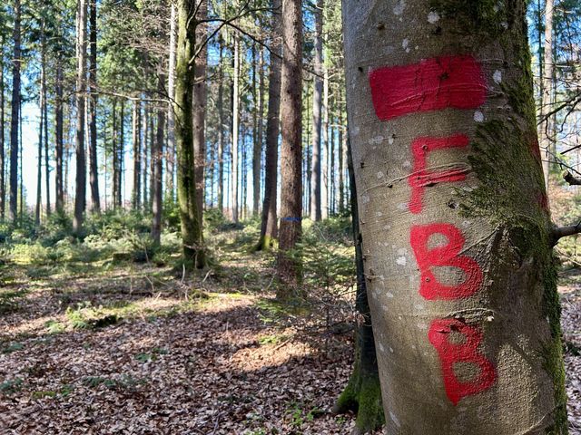 Baummarkierung dicker roter Balken eventuell mit Zusatz FBB