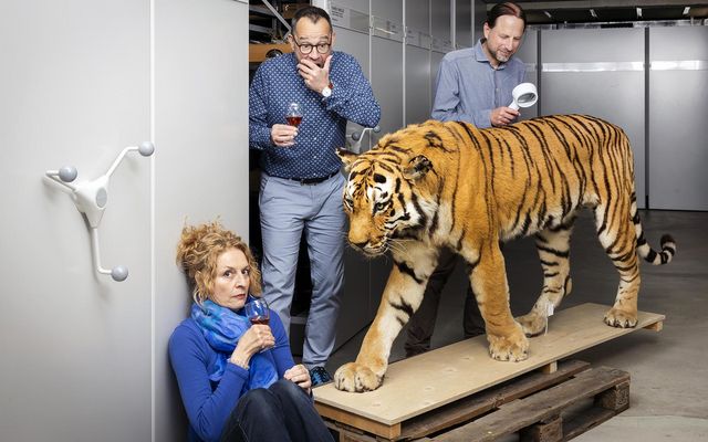 Präparierter Tiger auf Holzbrett im Depot, daneben drei Personen mit Weingläsern.