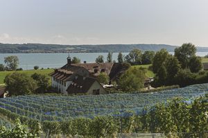 Hotel und Rebguts auf der St. Petersinsel, die Teil des Grundbesitzes der Burgergemeinde Bern sind.