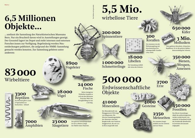 Grafik über Museumsobjekte des NMBE