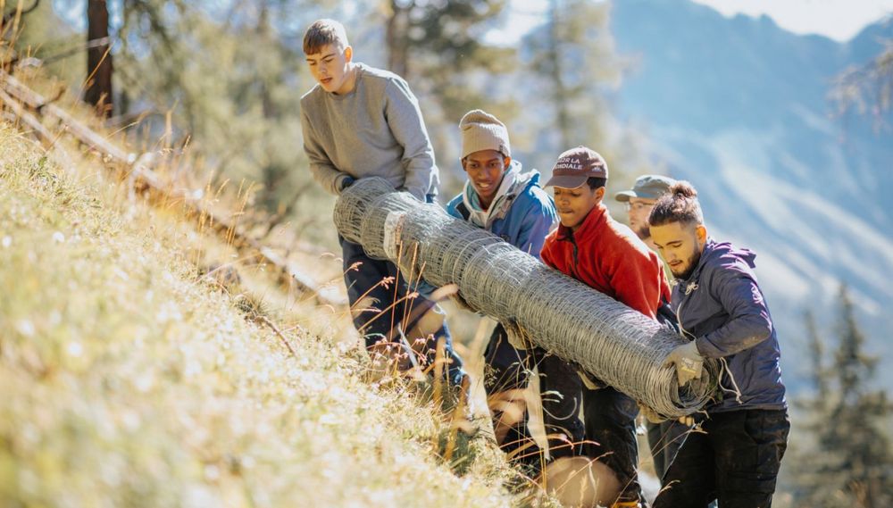 Vier Menschen tragen zusammen einen Stahlzaun