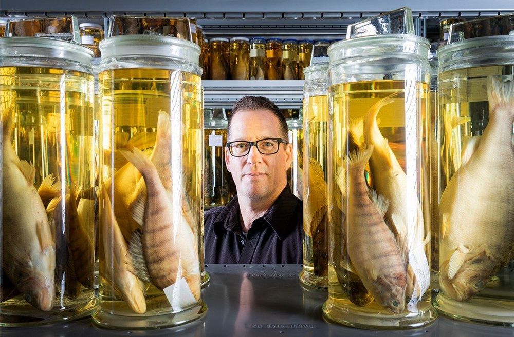 Porträt von Lukas Rüber