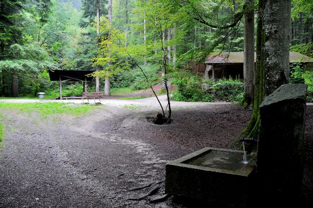 Waldhütte, Brunnen und überdachter Grillplatz der Waldhütte Schönenbrunnen