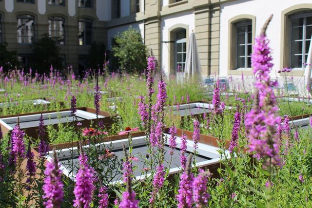 Blumen auf der Terrasse der Café Lounge LesBar
