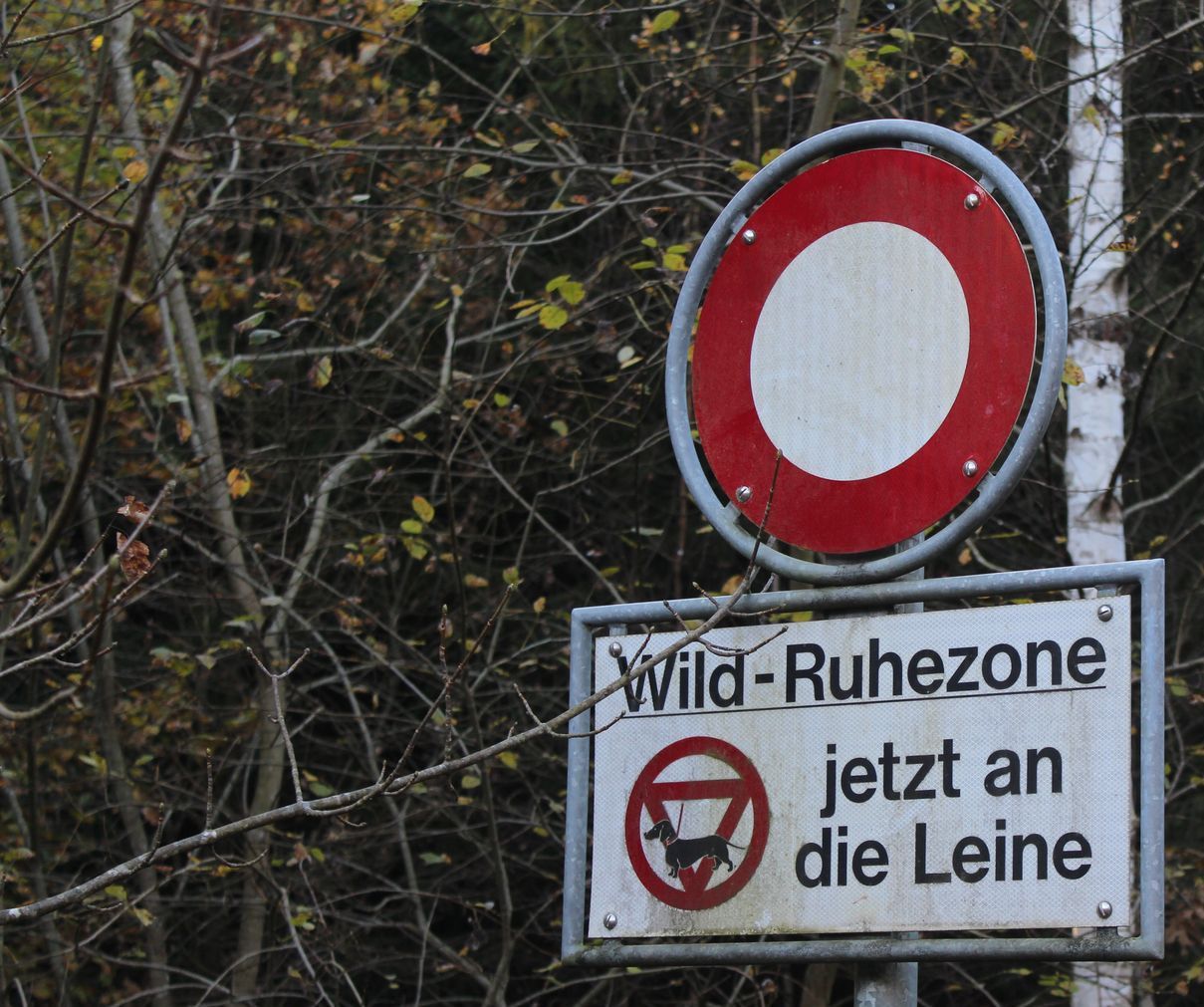 Schild Wild-Ruhezone