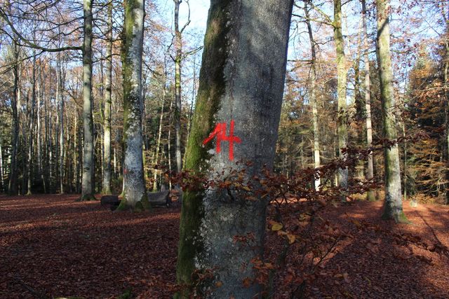 Baummarkierung Zahl