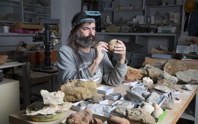 Person untersucht in einem Arbeitsraum ein Fossil, umgeben von zahlreichen Gesteinsproben und Fossilien auf einem Tisch.