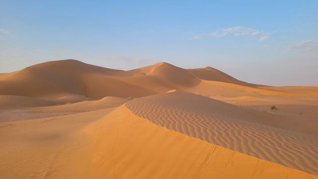 Weite, goldene Sanddünen erstrecken sich unter einem klaren blauen Himmel. Die ruhige Landschaft betont die unberührte Weite und Struktur der Wüste.