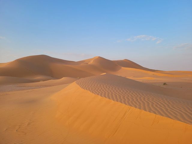 De vastes dunes de sable doré s'étendent sous un ciel bleu limpide. La sérénité du paysage met en valeur l'immensité et la structure intactes du désert.
