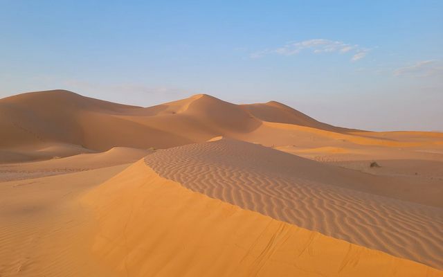 Weite, goldene Sanddünen erstrecken sich unter einem klaren blauen Himmel. Die ruhige Landschaft betont die unberührte Weite und Struktur der Wüste.