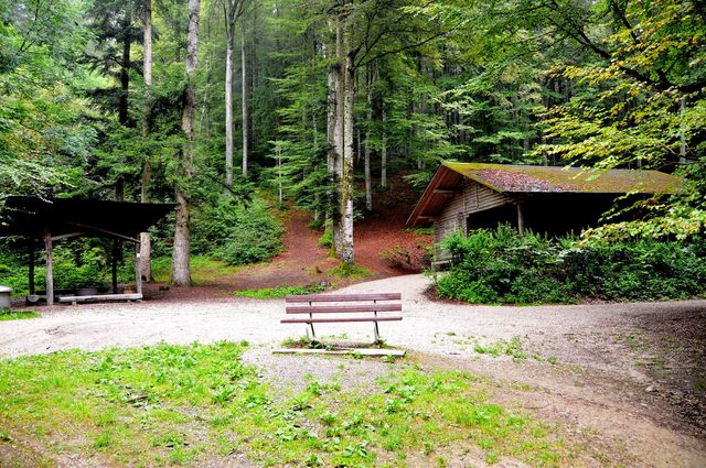 Aussenansicht der Waldhütte Schönenbrunnen mit überdachter Grillstelle und Sitzbank
