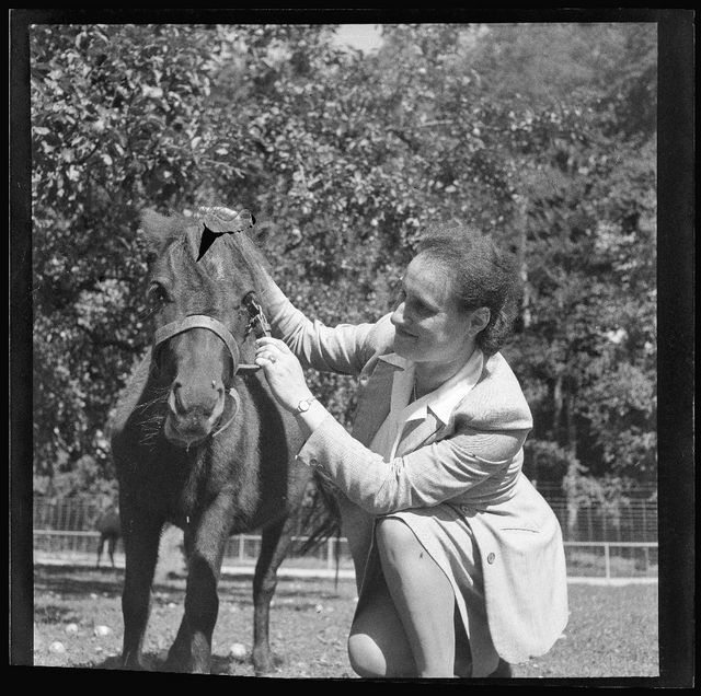 Bild von Monika Meyer-Holzapfel mit einem Pferd