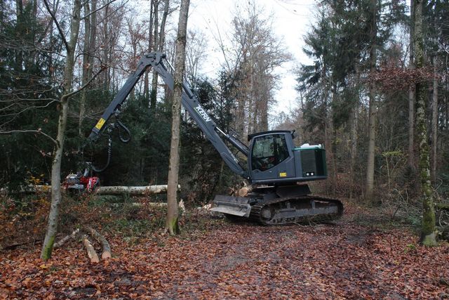 Forstmaschine Elenor in Aktion