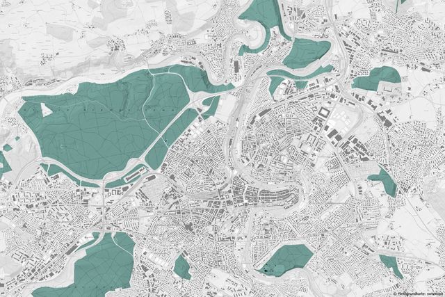 Ausschnitt aus topografischer Landeskarte mit Waldgebieten in und um die Stadt Bern