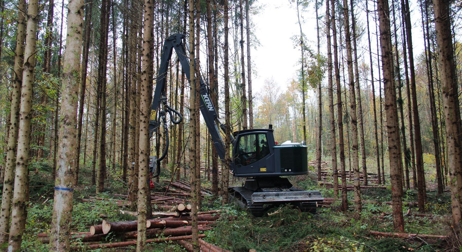 Waldarbeiten mit einem Fahrzeug