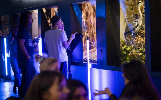 Besuchende betrachten beleuchtete Tierdioramen in einer abgedunkelten Museumsausstellung mit blauem Licht.