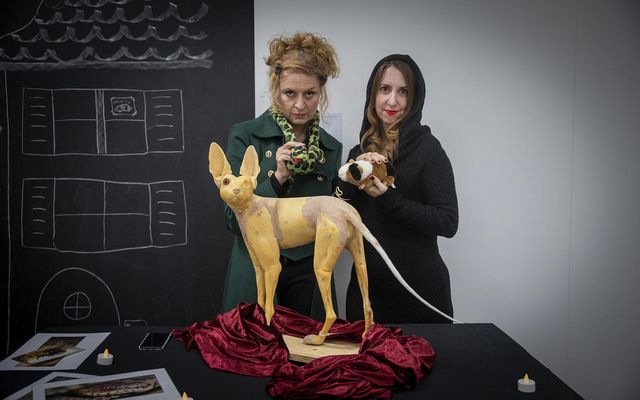 Zwei Personen präsentieren Tierpräparat auf Tisch mit Deko und Zeichnung im Hintergrund.
