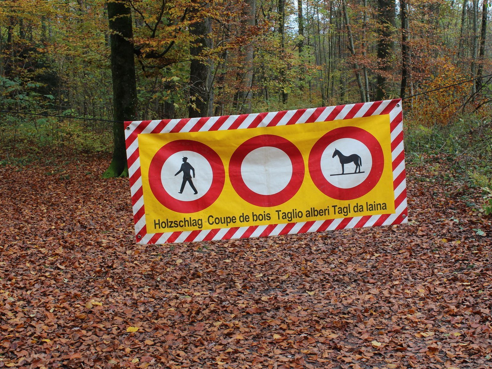 Hängendes Warnbanner im Wald