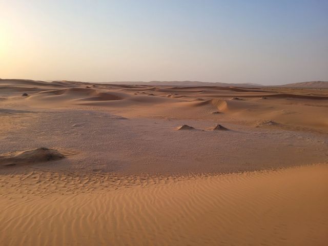 De vastes dunes de sable s'étendent à perte de vue sous une lumière chaude. Ce paysage serein révèle des ondulations finement structurées dans le sable et un paysage désertique presque vierge.