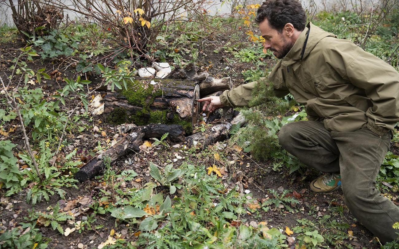 Eine Person kniet in einem bepflanzten Gartenbereich und zeigt auf eine kleine Struktur aus Ästen und Holzstücken am Boden. Zwischen dem Laub und den Pflanzen liegen verschiedene Naturmaterialien, die wie ein kleines Tierversteck oder Lebensraum angeordnet sind.