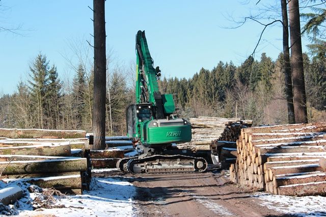 Aufräumarbeiten im Wald nach dem Sturm