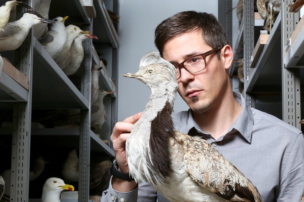 Porträt Manuel Schweizer mit einem Vogel