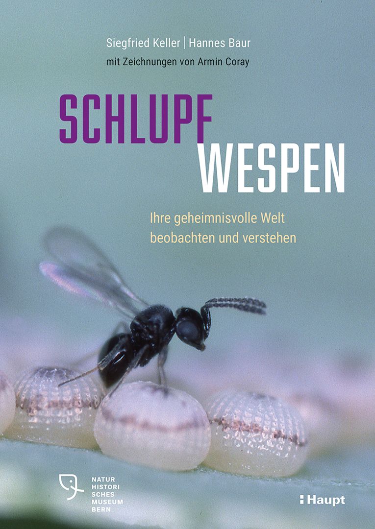 Buchcover Schlupfwespen