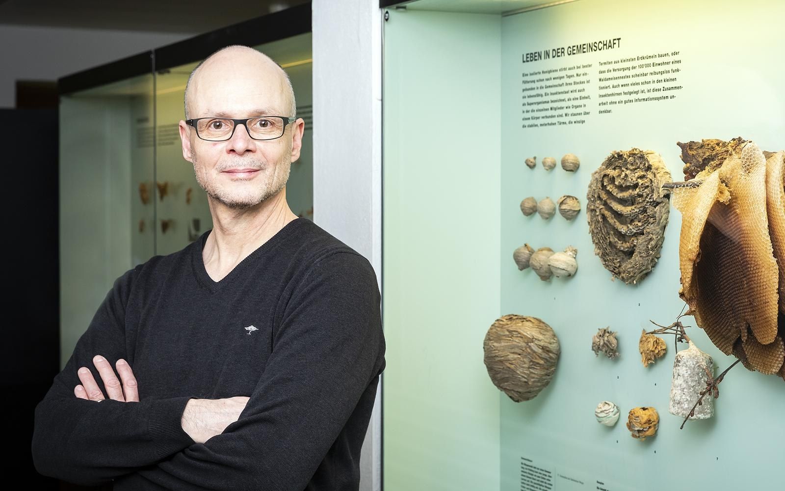 Porträt von Hannes Baur