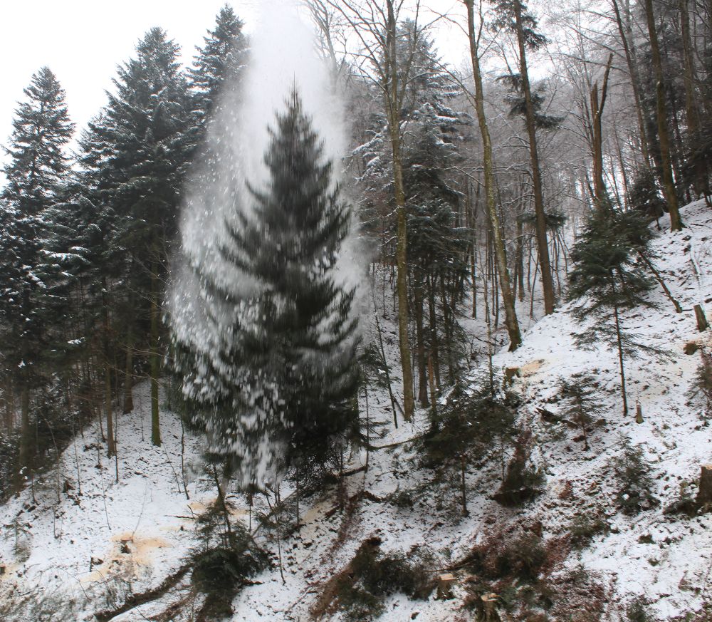 Winterlandschaft mit Sturm